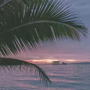 大动物和外国洋妞操逼
