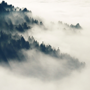 大动物和外国洋妞操逼
